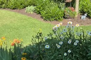 511 Palmer Way, Sunset, SC 29685 - Photo 5