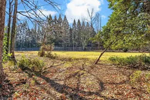 309 Kings Rd, Anderson, SC 29621 - Photo 35