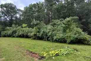 419 Wood Rd, Taylors, SC 29687 - Photo 13