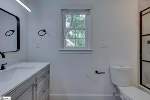 103 Cosgrove Ln, Taylors, SC 29687 - Photo 35