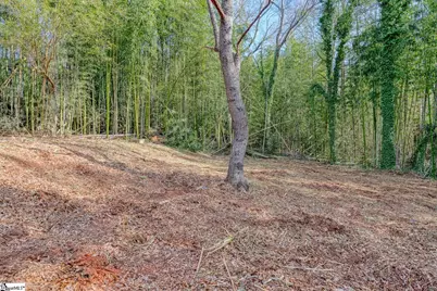 115 May Street, Easley, SC 29640 - Photo 29