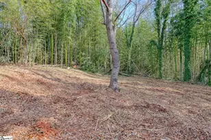 115 May St, Easley, SC 29640 - Photo 29