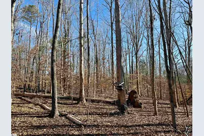 00 Neely Ferry Road, Laurens, SC 29360 - Photo 5