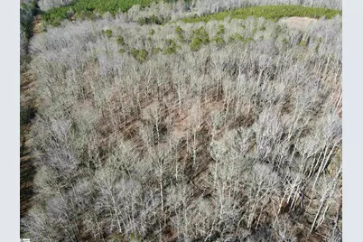 00 Neely Ferry Road, Laurens, SC 29360 - Photo 21