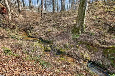 325 Lula Drive, Easley, SC 29644 - Photo 41