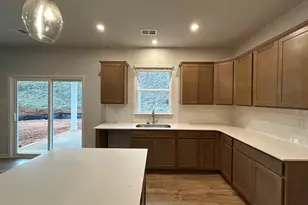 209 Thurgood Drive Extension, Greenville, SC 29607 - Photo 7