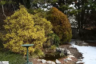 314 Winding Brook Ct, Greenville, SC 29617 - Photo 25