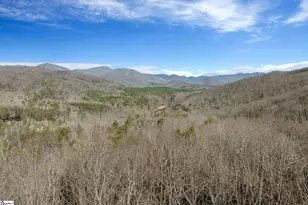 201 Plumley Summit Rd, Landrum, SC 29356 - Photo 33