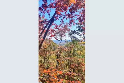 146 Glassy Falls Trail, Travelers Rest, SC 29690 - Photo 45