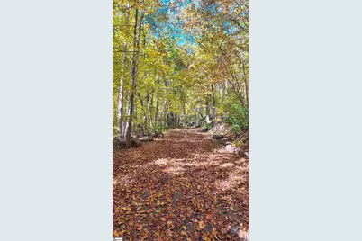 146 Glassy Falls Trail, Travelers Rest, SC 29690 - Photo 33