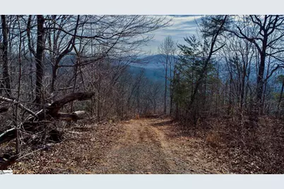 146 Glassy Falls Trail, Travelers Rest, SC 29690 - Photo 13