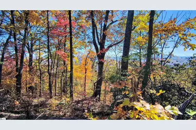 146 Glassy Falls Trail, Travelers Rest, SC 29690 - Photo 37