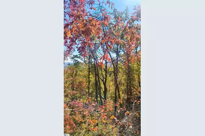 146 Glassy Falls Trail, Travelers Rest, SC 29690 - Photo 43