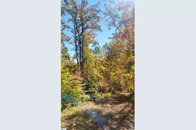 146 Glassy Falls Trail, Travelers Rest, SC 29690 - Photo 47