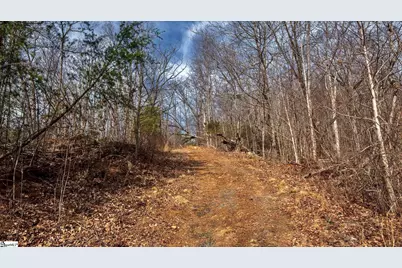 146 Glassy Falls Trail, Travelers Rest, SC 29690 - Photo 25