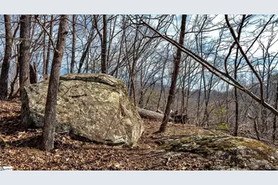 146 Glassy Falls Trail, Travelers Rest, SC 29690 - Photo 7