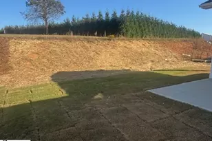 1005 Maridian St, Simpsonville, SC 29680 - Photo 31