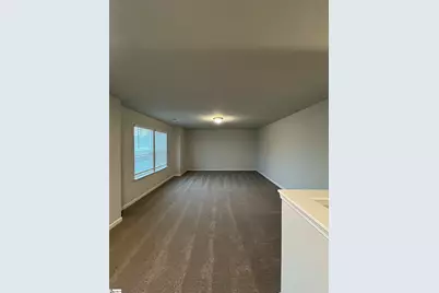 215 Thurgood Drive Extension, Greenville, SC 29607 - Photo 29