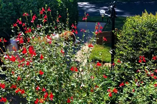 113 Life Style Ln, Anderson, SC 29621 - Photo 23