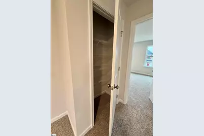 111 Terpack Court, Gray Court, SC 29645 - Photo 41