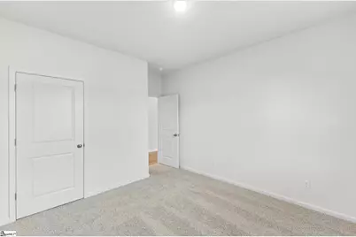 115 Terpack Court, Gray Court, SC 29645 - Photo 15