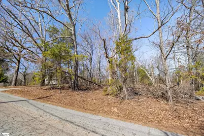 4 Huff Drive #Lot 5, Greenville, SC 29611 - Photo 3