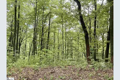 1334 Panther Park Trail, Travelers Rest, SC 29690 - Photo 3