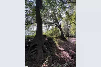 1308 Breazeale Road, Belton, SC 29627 - Photo 31