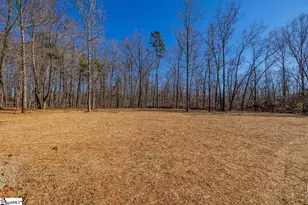 163 Canterbury Pl, Fountain Inn, SC 29644 - Photo 39