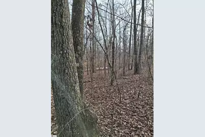 523 Flat Shoals Road, Walhalla, SC 29691 - Photo 3