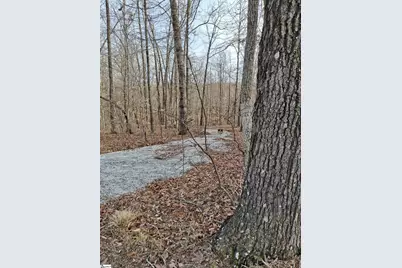 523 Flat Shoals Road, Walhalla, SC 29691 - Photo 1