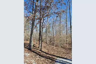 523 Flat Shoals Road, Walhalla, SC 29691 - Photo 7