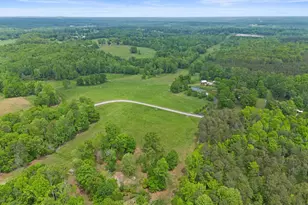 133 Holly Dr, Pelzer, SC 29669 - Photo 43