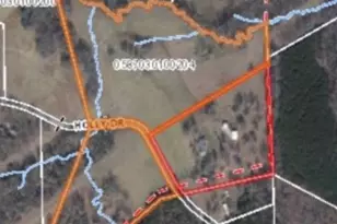 133 Holly Dr, Pelzer, SC 29669 - Photo 49