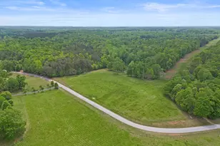 133 Holly Dr, Pelzer, SC 29669 - Photo 47