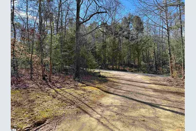 262 Geddy Road, Gray Court, SC 29645 - Photo 27