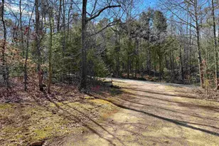 262 Geddy Rd, Gray Court, SC 29645 - Photo 27