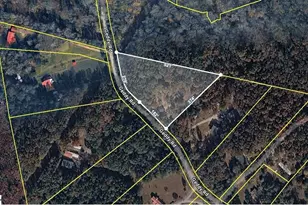 262 Geddy Rd, Gray Court, SC 29645 - Photo 39