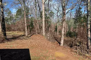 262 Geddy Rd, Gray Court, SC 29645 - Photo 23