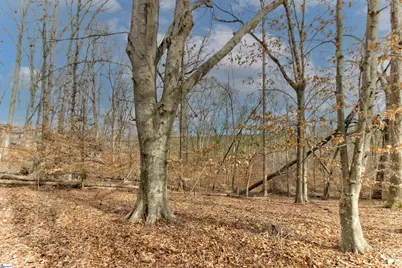 218 Lakeview Circle, Woodruff, SC 29388 - Photo 21