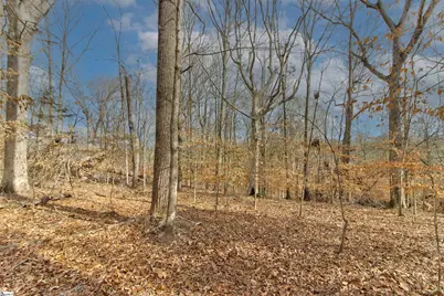 218 Lakeview Circle, Woodruff, SC 29388 - Photo 17