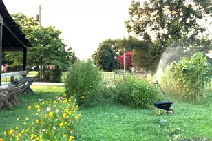 558 Barnett Rd, Greer, SC 29651 - Photo 41