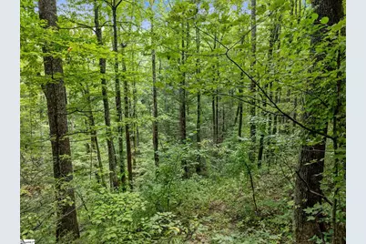 1 Rixhaven Drive, Saluda, NC 28773 - Photo 9