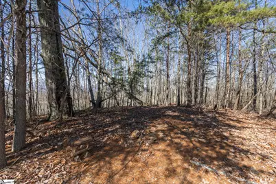 363 Glassy Mountain Church Road, Pickens, SC 29671 - Photo 3