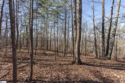 363 Glassy Mountain Church Road, Pickens, SC 29671 - Photo 7