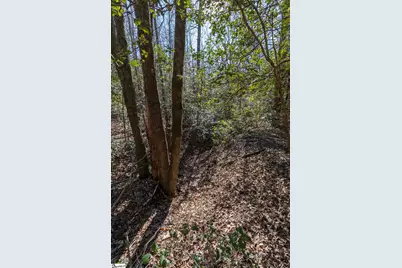 363 Glassy Mountain Church Road, Pickens, SC 29671 - Photo 9