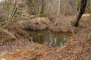 11525 N 11 Hwy, Salem, SC 29676 - Photo 41