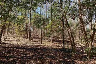 2559 John Dodd Rd, Wellford, SC 29385 - Photo 15