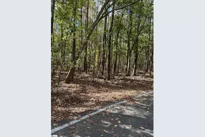 00 Scurry Island Road, Chappells, SC 29037 - Photo 13