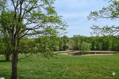 233 Stable Gate Drive, Campobello, SC 29322 - Photo 5